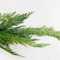 Cedar Garland