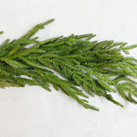 Norfolk Pine Garland