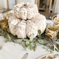 White Scalloped Pumpkins
