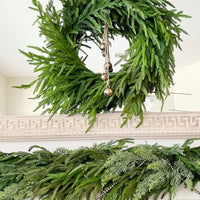 Norfolk Pine Wreath